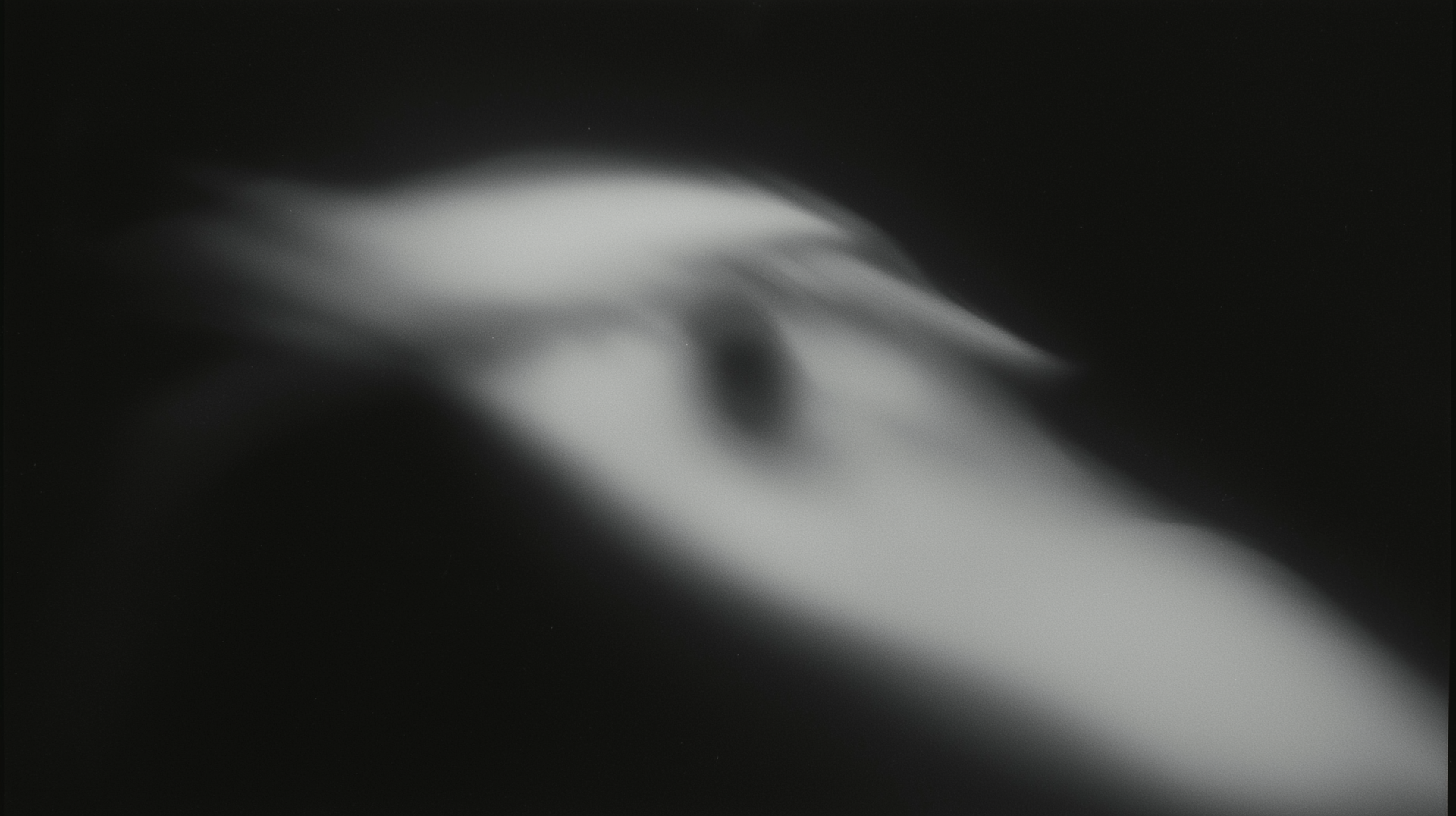 Analog hole